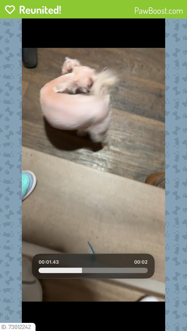 Reunited Female Dog last seen Zander dr , Charlotte, NC 28214