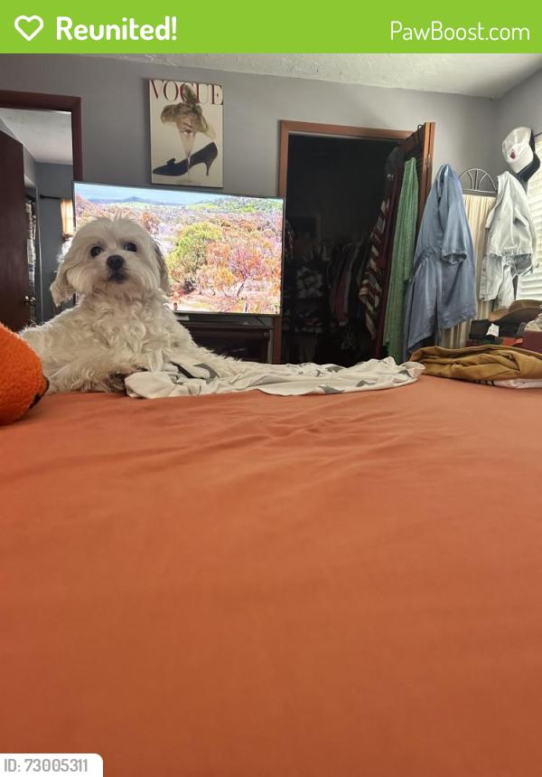 Reunited Male Dog last seen boggy creek and wearherbee, Orlando, FL 32824