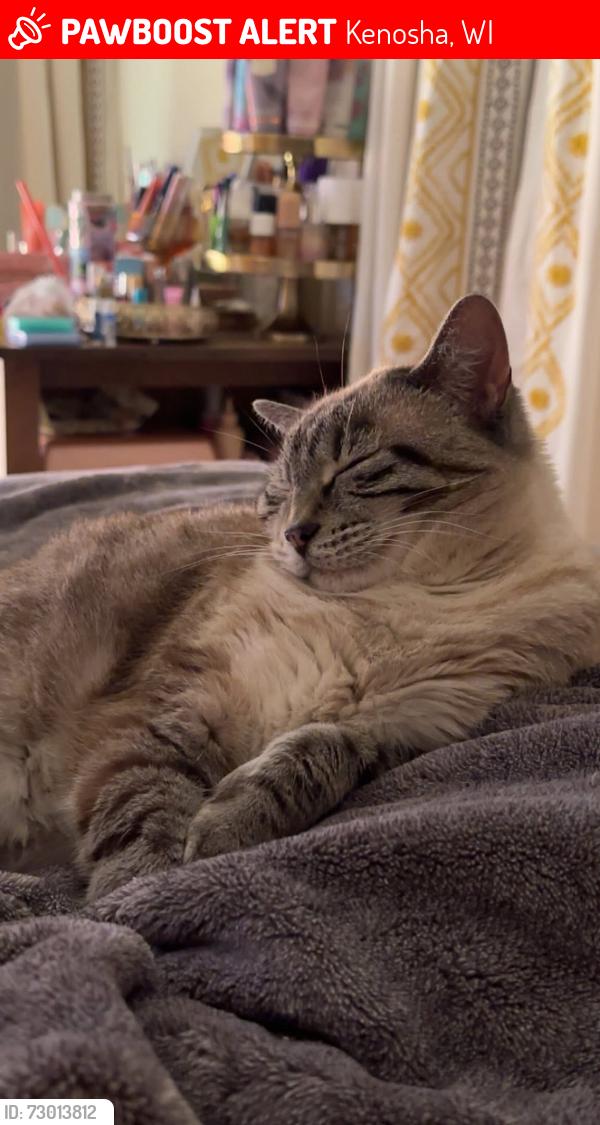 Lost Female Cat last seen Kenosha Bible Church, Kenosha, WI 53142