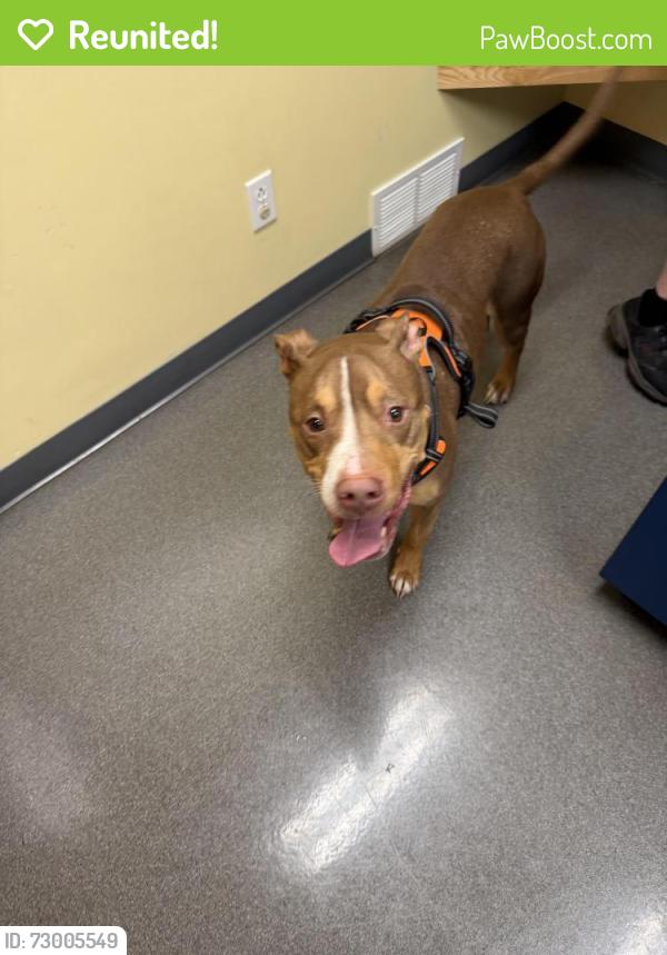 Reunited Female Dog last seen Picked up from home address 1712 Yellowthroat Dr in Little Elm by citizen shipper transport, Little Elm, TX 75068