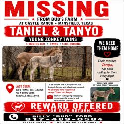 Lost Male Other last seen  W Broad st Mansfield tx, Mansfield, TX 76063