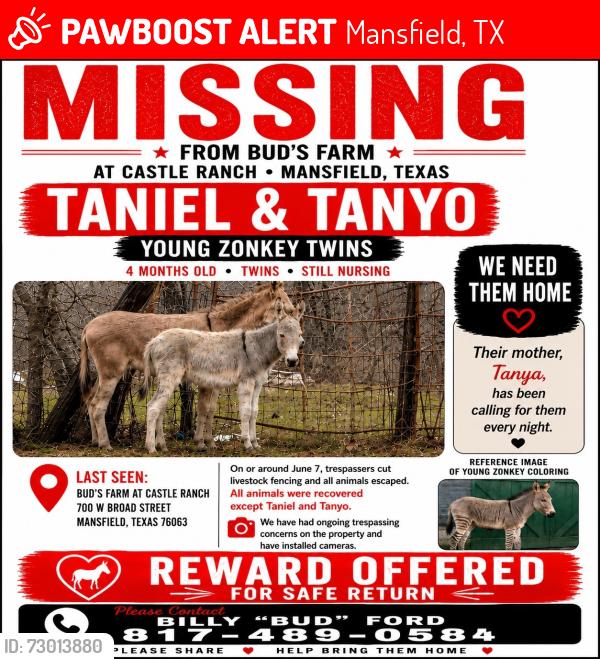 Lost Male Other last seen  W Broad st Mansfield tx, Mansfield, TX 76063