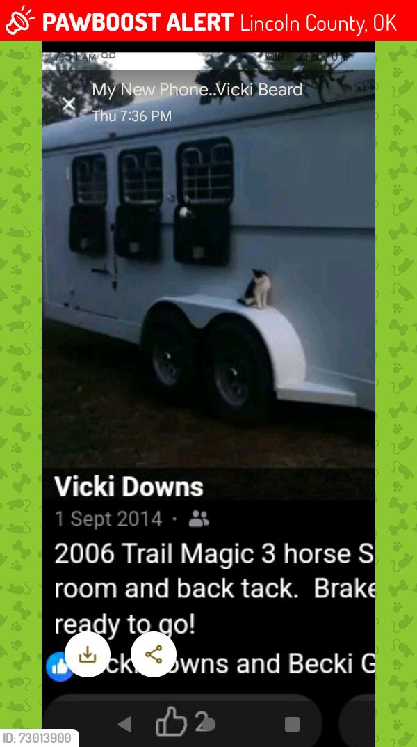 Lost Female Cat last seen Near rd in welkston, Lincoln County, OK 74832