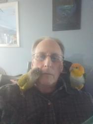 Reunited Female Bird last seen Near Brownsville Road, Trevose-Feasterville, Actually On Boston Ave near Brownsville Road., Feasterville-Trevose, PA 19053