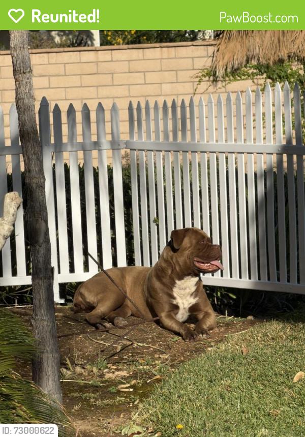 Reunited Unknown Dog last seen Shadow Mountain Park, Moreno Valley, CA 92557