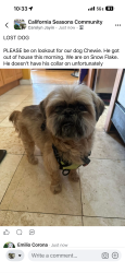 Reunited Male Dog last seen Snow flake way and rain drop circle, Pittsburg, CA 94565