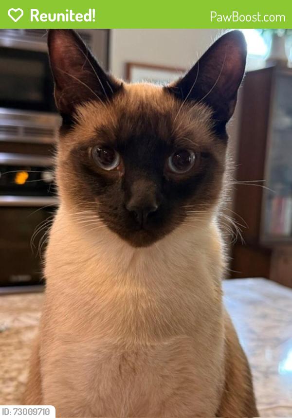 Reunited Male Cat last seen Warm Springs & Shakespeare, Boise, ID 83716
