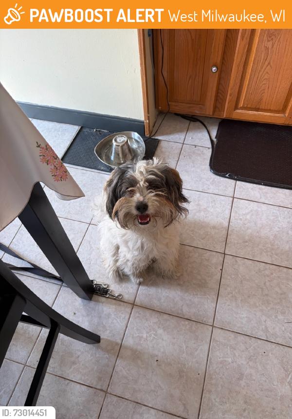 Found/Stray Male Dog last seen At madacc, West Milwaukee, WI 53215