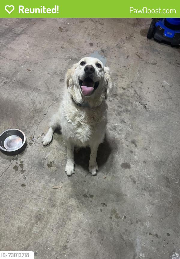 Reunited Unknown Dog last seen Rosemeade and Josey , Carrollton, TX 75007