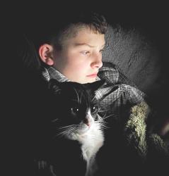 Lost Male Cat last seen Pepperstone & Hartmann, Lebanon, TN 37087