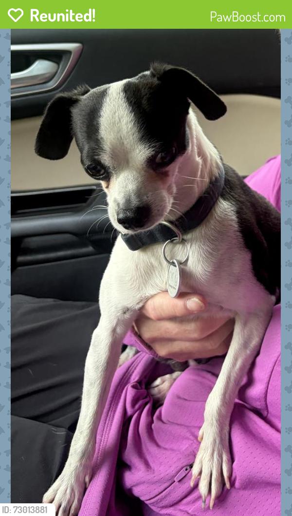 Reunited Male Dog last seen Stapleton, Flower Mound, TX 75077