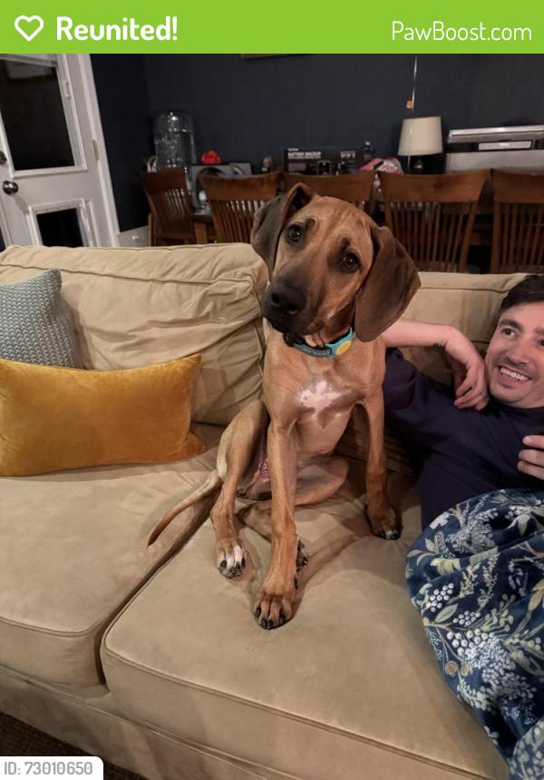 Reunited Female Dog last seen Falls Road and Democracy Boulevard , Potomac, MD 20854