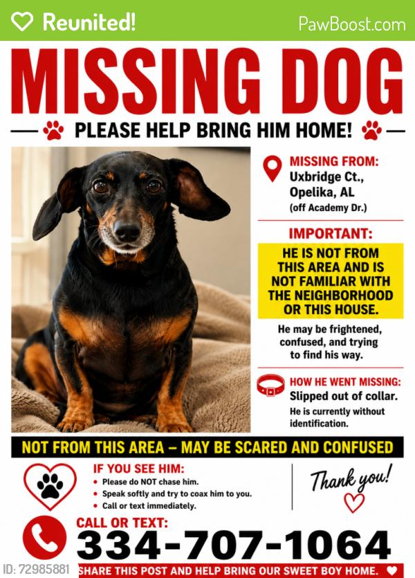 Reunited Male Dog last seen Academy drive , Opelika, AL 36801