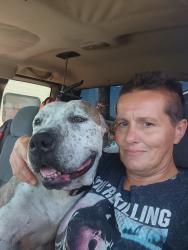 Reunited Female Dog last seen Winchester and Montebello , Apache Junction, AZ 85119