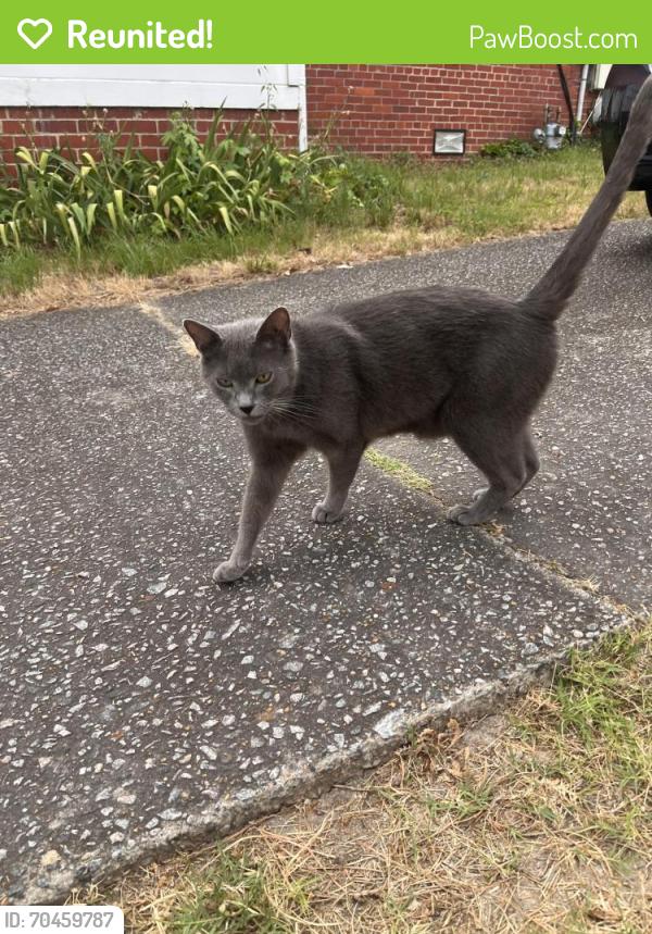 Reunited Unknown Cat last seen 7500-7510 Parkline Drive Henrico, VA 23229, Richmond, VA 23229