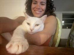 Lost Male Cat last seen Spanish Lakes on US 1, St. Lucie County, FL 34952