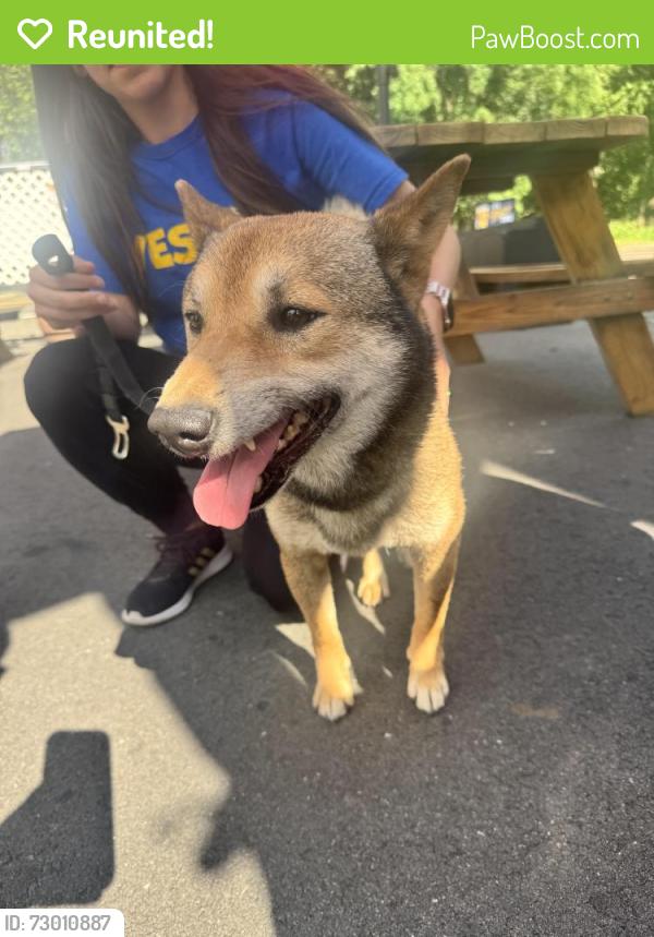 Reunited Male Dog last seen Uncle Tanks, Franklin Township, NJ 08873