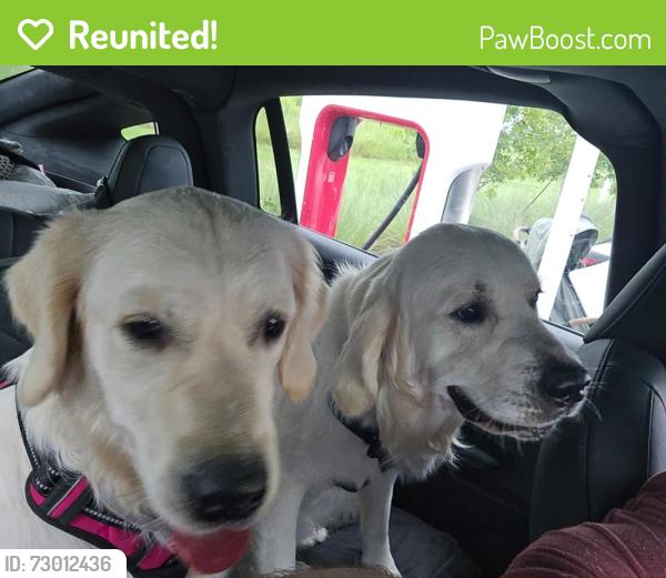 Reunited Male Dog last seen Riverland Road and SW 28th Way, Fort Lauderdale, FL 33312