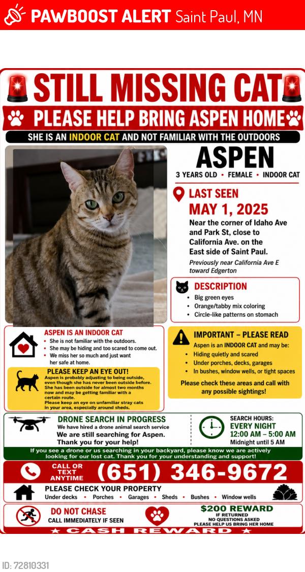 Lost Female Cat last seen Sons of Jacob Cemetery in St. Paul, Minnesota, Saint Paul, MN 55130