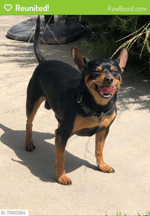 Reunited Male Dog last seen Olympus Dr & Humboldt , Westminster, CA 92683
