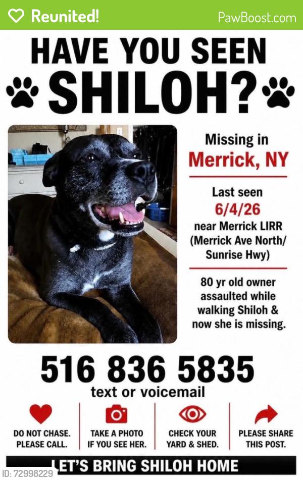 Reunited Female Dog last seen Near Nagel Ct, Merrick, NY 11566, USA, Merrick, NY 11566