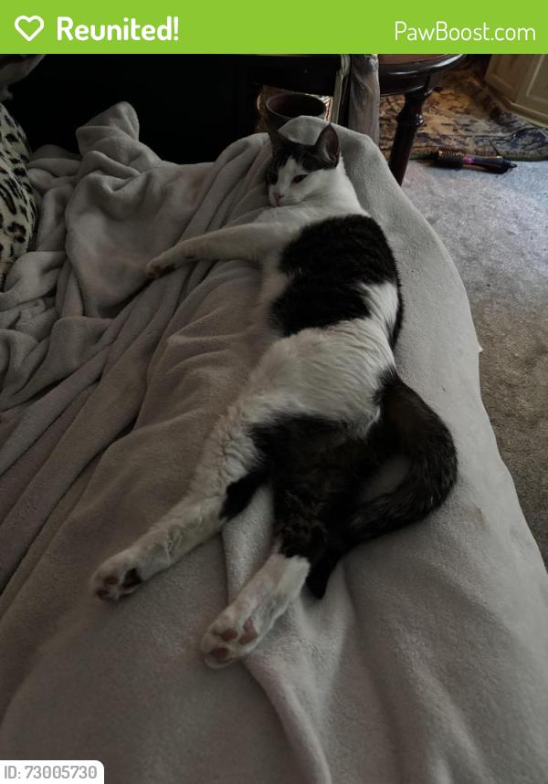 Reunited Male Cat last seen Highland and 5120 south, Holladay, UT 84117