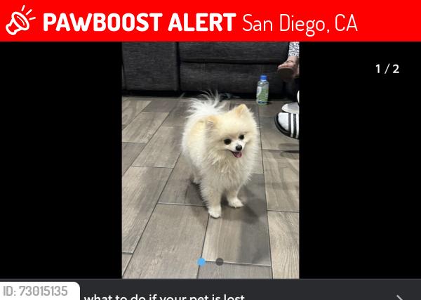 Lost Male Dog last seen Encanto , San Diego, CA 92114