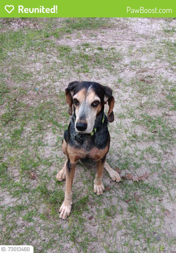 Reunited Female Dog last seen Sunland park, Sanford, FL 32773
