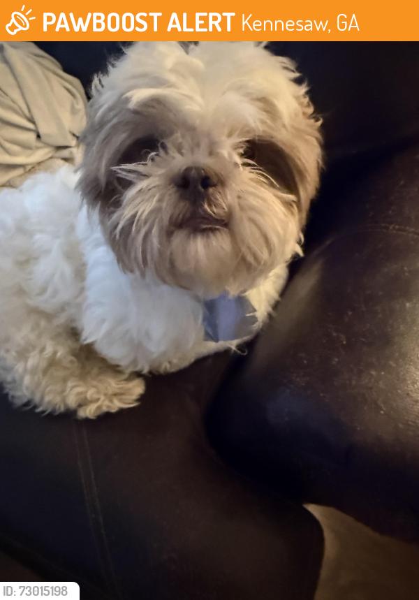 Found/Stray Male Dog last seen Near Barrett lakes , Kennesaw, GA 30144