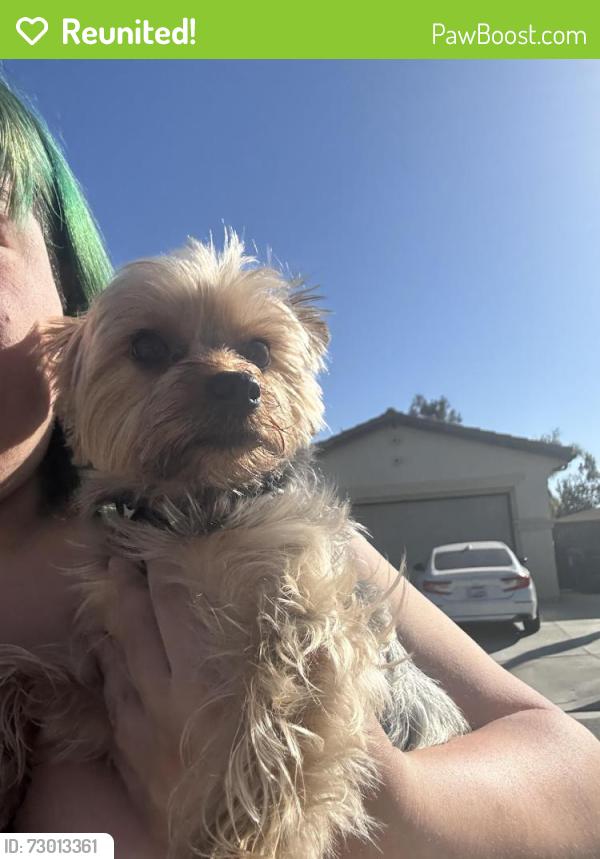 Reunited Unknown Dog last seen Cajon high school , San Bernardino, CA 92407