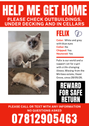 Lost Male Cat last seen Mirrlees fields, Hazel Grove, England SK7 5EE