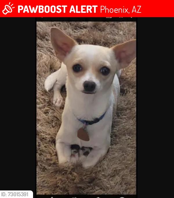 Lost Male Dog last seen Near W Heatherbrae Dr, Phoenix, AZ 85037