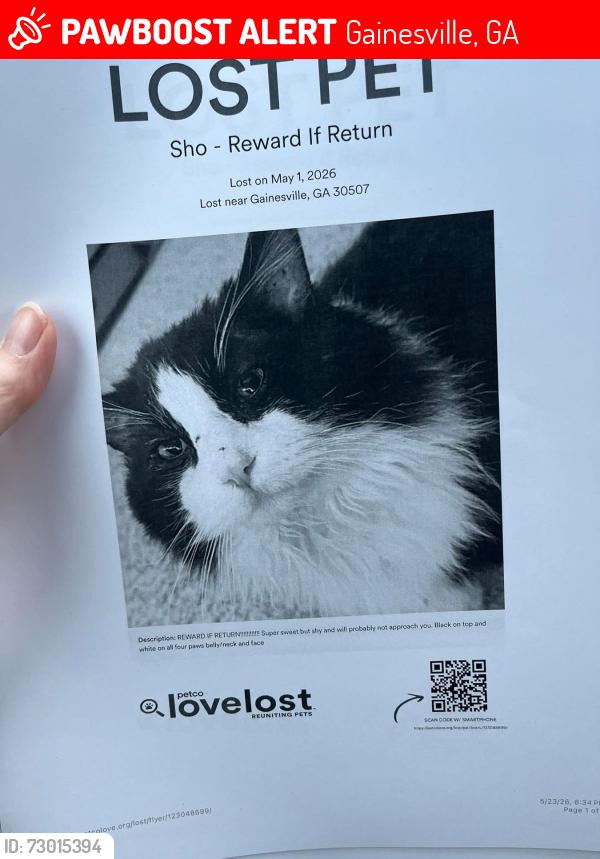 Lost Male Cat last seen East hall rd, Gainesville, GA 30507