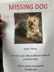 Lost Male Dog last seen flt Shoals Rd Union City, Union City, GA 30291