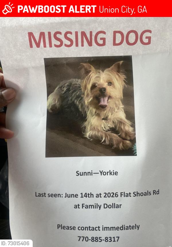 Lost Male Dog last seen flt Shoals Rd Union City, Union City, GA 30291