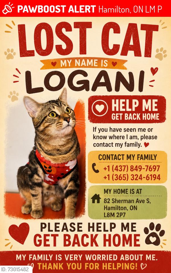 Lost Male Cat last seen Near Sherman Ave S, Hamilton, ON L8M 2P7, Hamilton, ON L8M 2P7