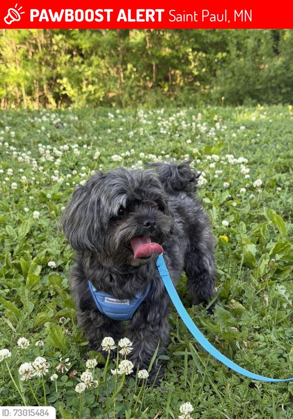 Lost Female Dog last seen Whitebear Ave , Saint Paul, MN 55119