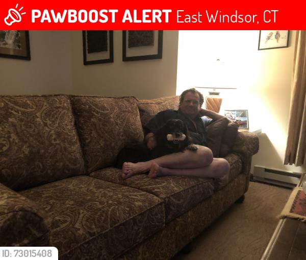 Lost Female Dog last seen Reservoir Ave, East Windsor, CT 06016