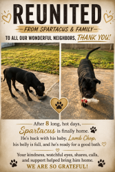 Reunited Male Dog last seen Va beach Blvd and kempsville, Norfolk, VA 23502
