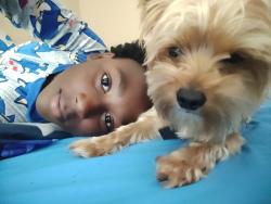 Reunited Male Dog last seen Marblearch Dr/ Kingswood, Grand Prairie, TX 75052