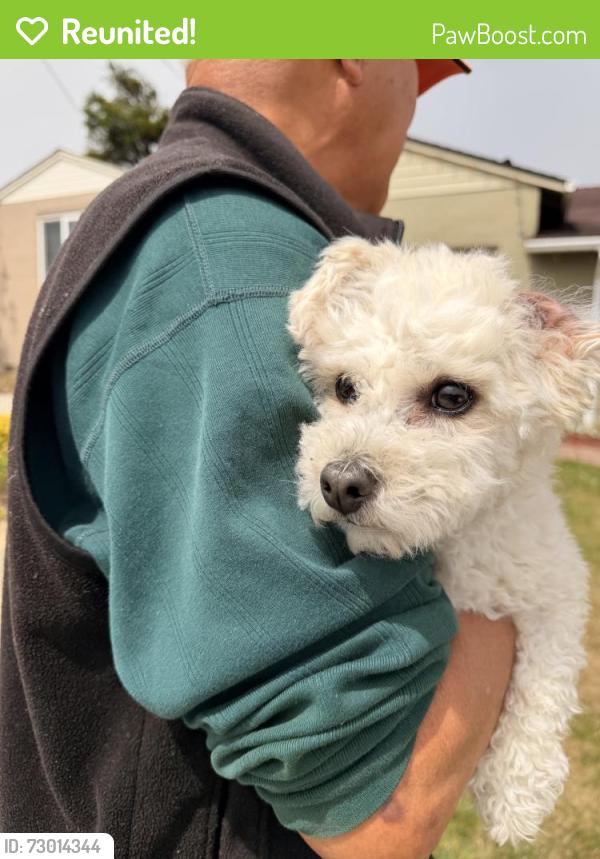 Reunited Unknown Dog last seen Near Heather Rd, Broadmoor, CA 94015, USA, Broadmoor, CA 94015