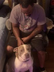 Lost Male Dog last seen Twingate, Montgomery, AL 36108