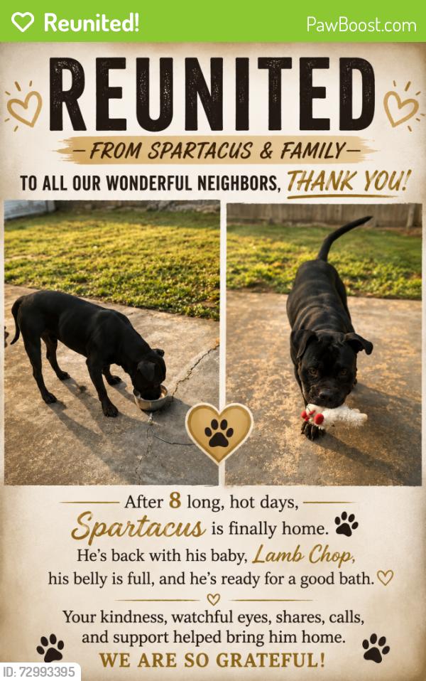 Reunited Male Dog last seen Va beach Blvd and kempsville, Norfolk, VA 23502