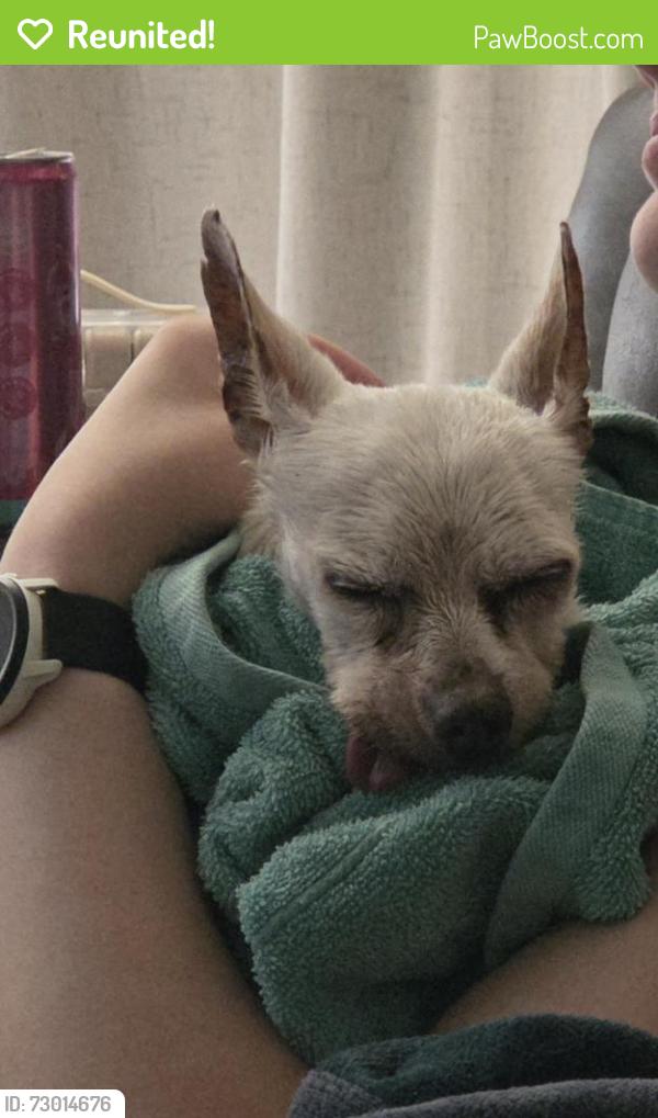 Reunited Male Dog last seen Near S 1000 E , Salt Lake City, UT 84105