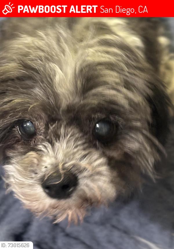 Lost Female Dog last seen Woodman, San Diego, CA 92114