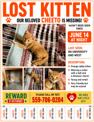 Lost Male Cat last seen West McKinley, Fresno, CA 93705