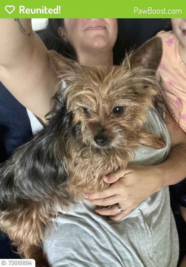 Reunited Male Dog last seen Highland Ave , Clearwater, FL 33764
