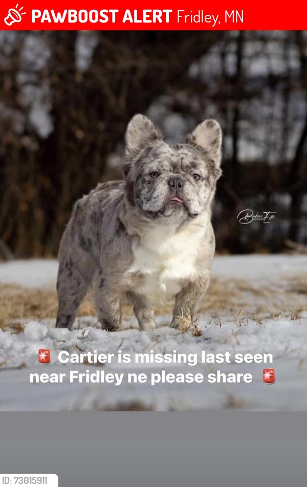 Lost Male Dog last seen 53rd Ave and University ave, Fridley, MN 55421