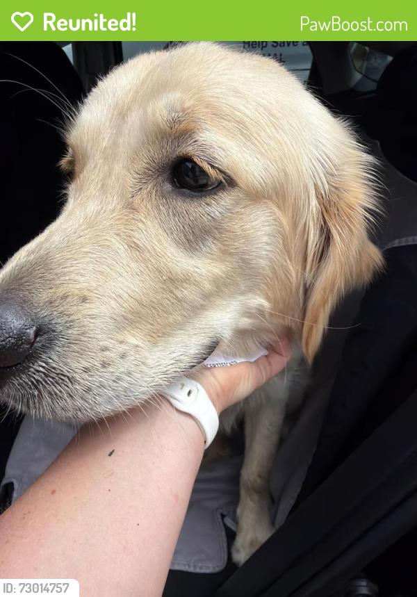 Reunited Female Dog last seen 18th and Palmetto, Sanford, FL 32771