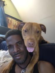 Lost Female Dog last seen 79th Woodlawn, Chicago, IL 60619